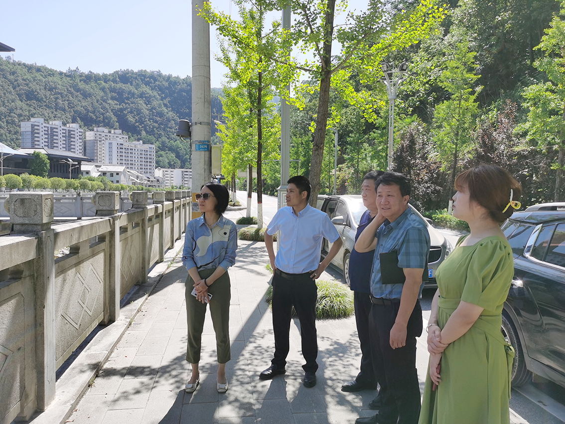 中金万瑞专家团队赴商洛市镇安县开展全域项目库建设开展调研活动